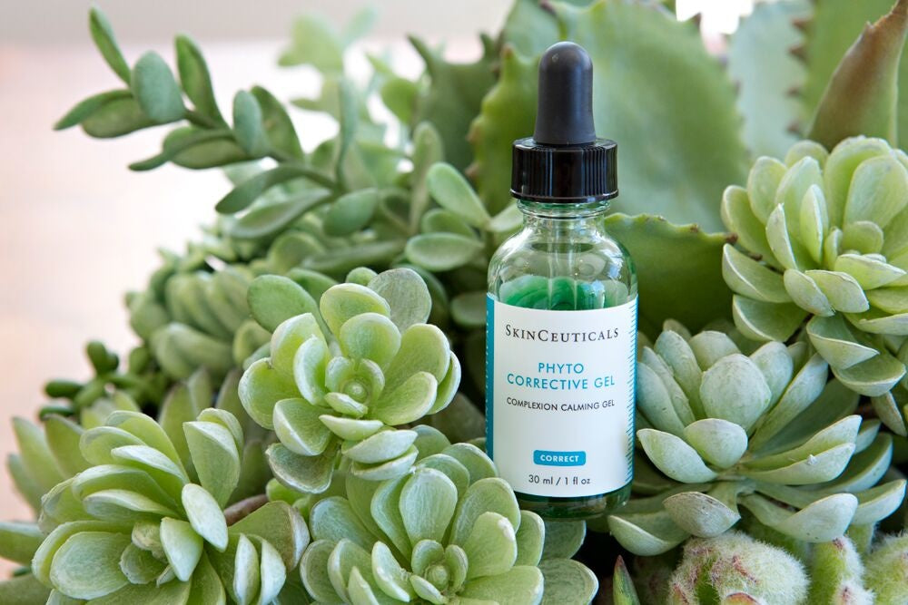 phyto_1000x.jpg?v=1642590326